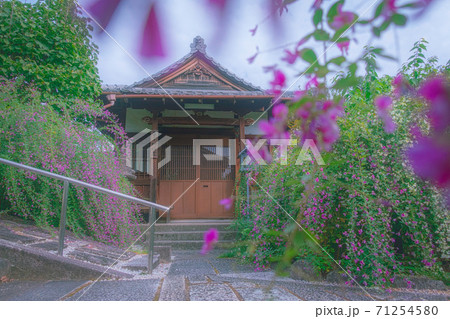京都、常林寺の境内にある地蔵堂と萩の花 71254580