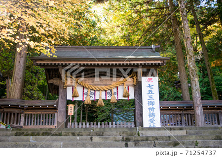 長野県 諏訪大社上社 本宮 長野県 諏訪大社上社 本宮 71254737