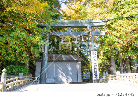 長野県　諏訪大社上社　本宮　表参道 71254745