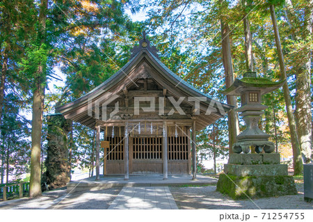 長野県　諏訪大社上社　本宮　神馬社 71254755