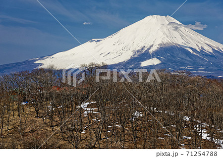 早春の丹沢・鍋割山と富士山 71254788