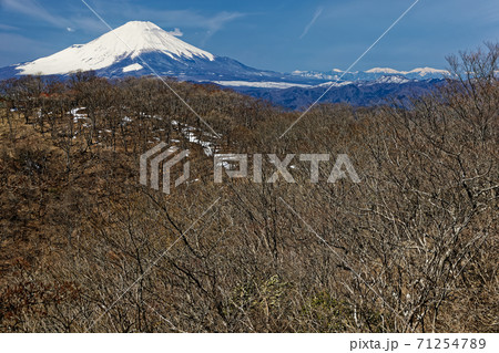 早春の丹沢・鍋割山と富士山・南アルプスの眺め 早春の丹沢・鍋割山と富士山・南アルプスの眺め 71254789