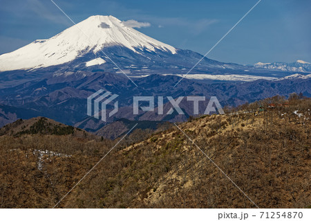 早春の丹沢・鍋割山と富士山 71254870