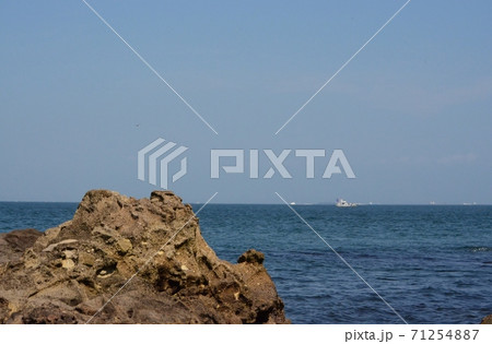 横須賀の猿島 71254887