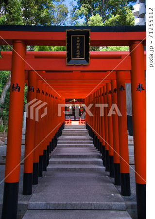 神戸 生田稲荷大明神 神戸 生田稲荷大明神 71255112