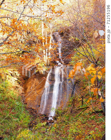 北海道の秋風景 滝野 鱒見の滝と紅葉 北海道の秋風景 滝野 鱒見の滝と紅葉 71255196