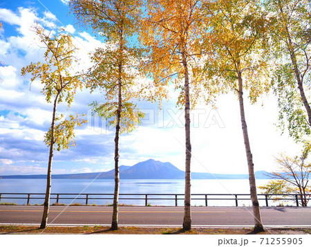 北海道 支笏湖の秋風景 71255905