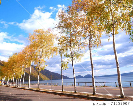 北海道 支笏湖の秋風景 北海道 支笏湖の秋風景 71255907