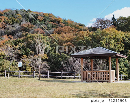 秋の横尾池公園　里山の紅葉 71255908