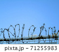 有刺鉄線 71255983