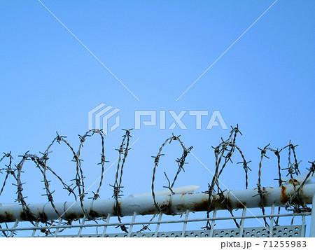 有刺鉄線 71255983