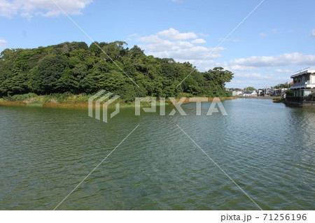 堺市御廟山古墳 71256196