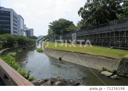 熊本　熊本城　堀 71256198
