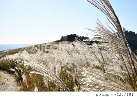 生石高原 笠石を望む 生石高原 笠石を望む 71257191