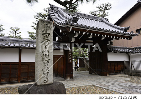 上善寺　桜 71257290