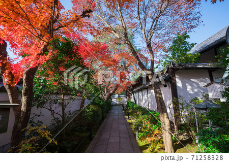 京都 妙心寺 退蔵院の紅葉 京都 妙心寺 退蔵院の紅葉 71258328