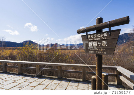 【栃木県】奥日光 戦場ヶ原 71259177