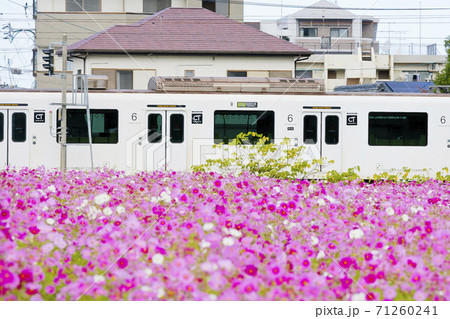 周船寺市民ふれあい広場 周船寺市民ふれあい広場 71260241