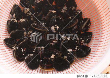 シジミの砂抜き シジミの砂抜き 71260256