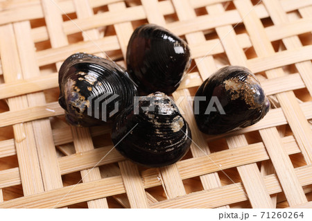 シジミ シジミ 71260264