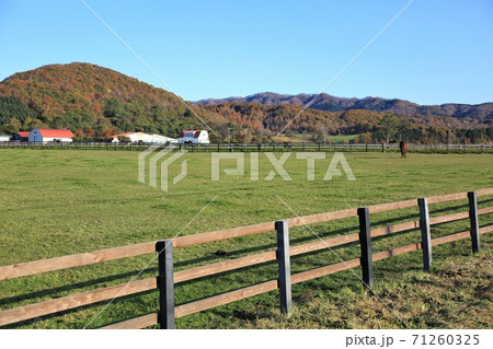 牧場の風景(北海道新冠町) 牧場の風景(北海道新冠町) 71260325