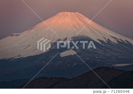 丹沢表尾根・三ノ塔から見る朝焼けの富士山 丹沢表尾根・三ノ塔から見る朝焼けの富士山 71260346