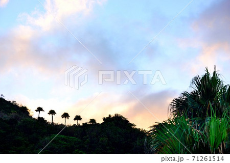 奄美大島 大浜海浜公園の静かな朝 奄美大島 大浜海浜公園の静かな朝 71261514