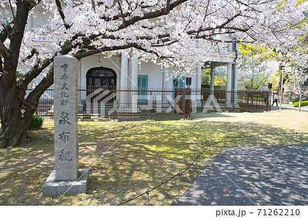 大阪府・桜並木のプロムナードが有名な河岸公園　毛馬桜之宮公園の桜 71262210