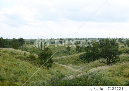 阿蘇 押戸石の丘 阿蘇 押戸石の丘 71262214