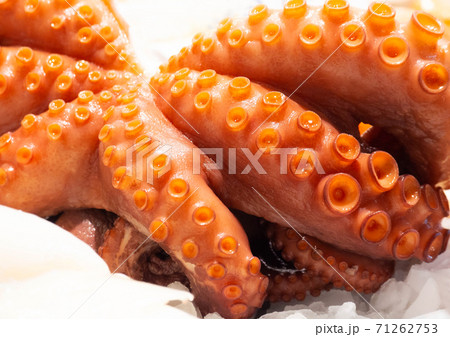 Fresh octopus at Valencian market 71262753