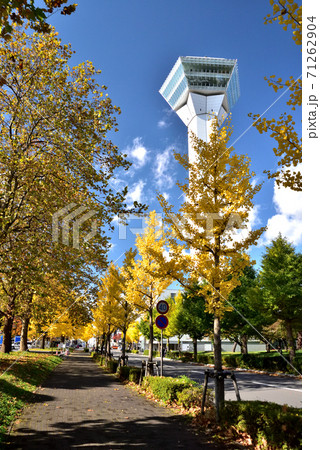 秋の五稜郭 71262904