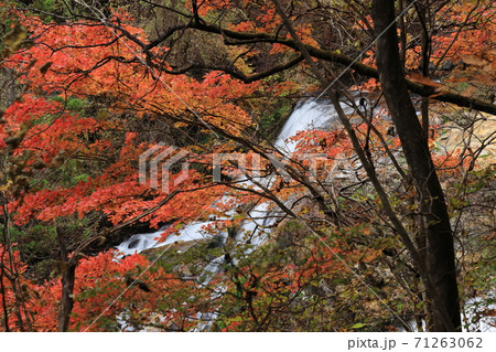 霧降高原 玉簾の滝 霧降高原 玉簾の滝 71263062