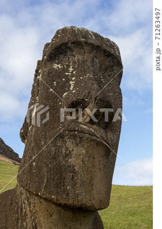 Moai Statues on Easter Island at the Rano Raraku Quarry 71263497
