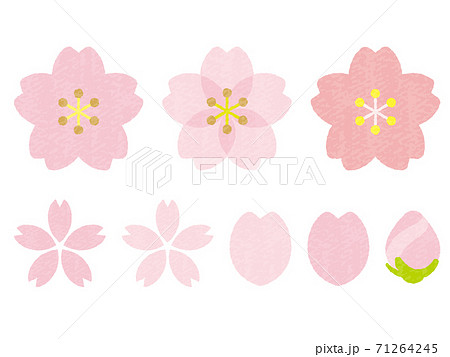 手書き風かわいい桜の花のイラスト素材