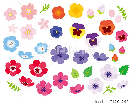 カラフルな春の花セット 71264246