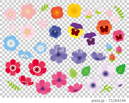 カラフルな春の花セット カラフルな春の花セット 71264246