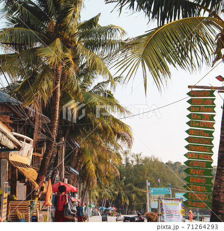 Palm Trees in Koh Rong, Sihanoukville, Cambodia 71264293