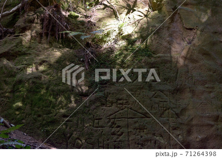 ＜神奈川県＞東京湾の無人島「猿島」に残る要塞跡の壁面 71264398