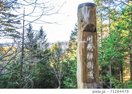 長野県　開田高原 71264479