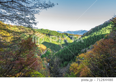 長野県　開田高原 71264480