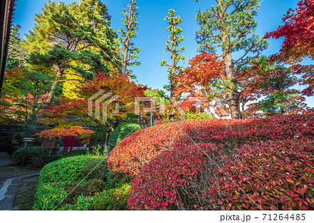 長野県 木曽福島 興禅寺 長野県 木曽福島 興禅寺 71264485