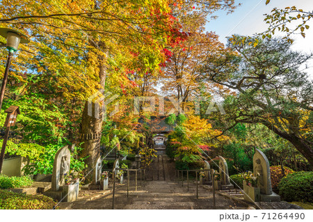 長野県　木曽福島　興禅寺 71264490