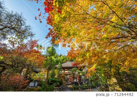 長野県　木曽福島　興禅寺 71264492