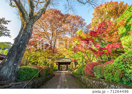 長野県 木曽福島 興禅寺の写真素材