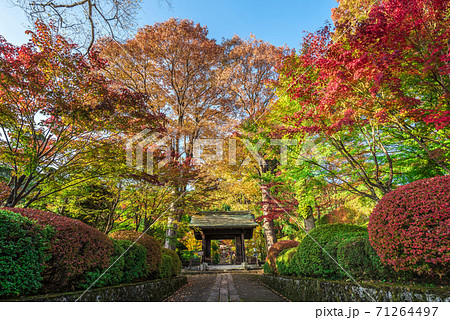 長野県　木曽福島　興禅寺 71264497
