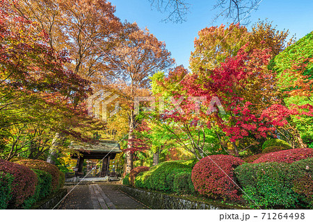 長野県　木曽福島　興禅寺 71264498