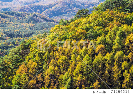 長野県 開田高原 長野県 開田高原 71264512
