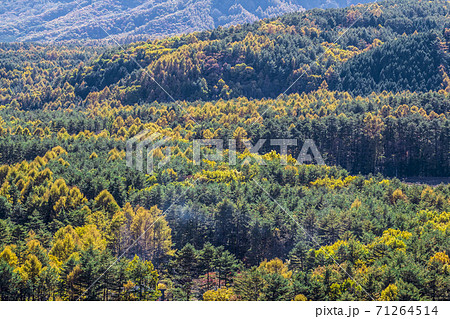 長野県 開田高原 長野県 開田高原 71264514