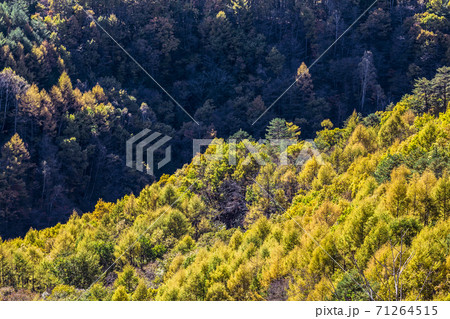 長野県　開田高原 71264515