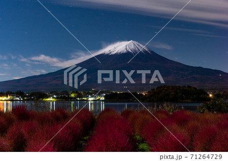 山梨県 月夜の大石公園 コキアと富士山の写真素材